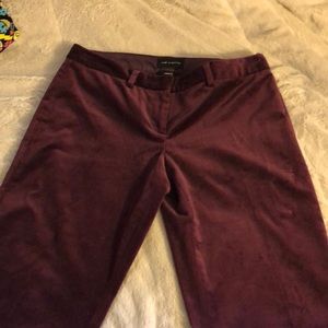 Limited velvety pants. Drew Fit.